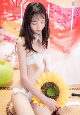 动漫与僧侣全集播放